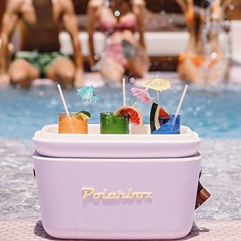 Polarbox Retro Cooler - 20 Liters - Trendy Cooler Sustainably Produced