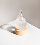 Storm glass - Weather prediction 