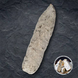 Sausage with Roquefort